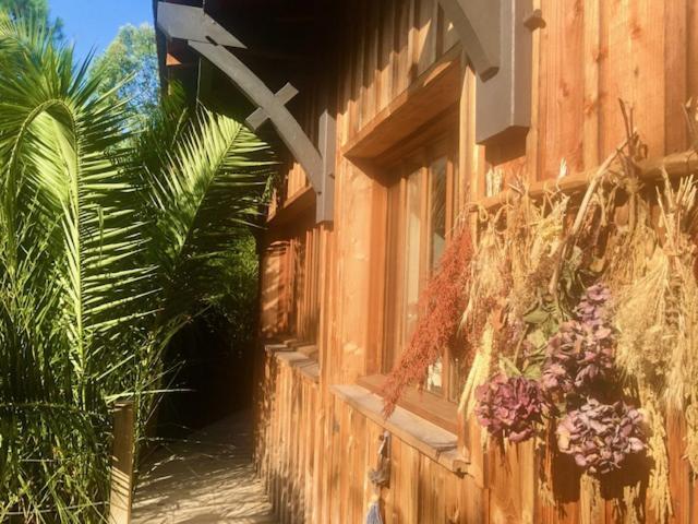 Cabane Chic Au Cap Ferret Lège-Cap-Ferret Esterno foto